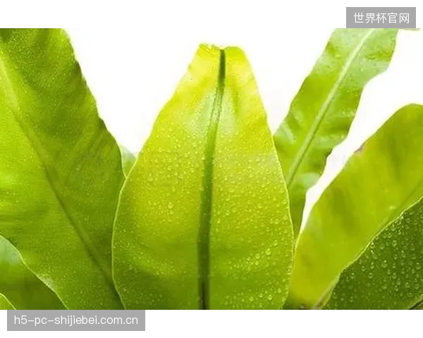 那些造型夸张、难以亲近的“鸟巢”和“水滴”,实际上在心理上拉远了与普通市民的距离 那些造型夸张、难以亲近的“鸟巢”和“水滴”,实际上在心理上拉远了与普通市民的距离
